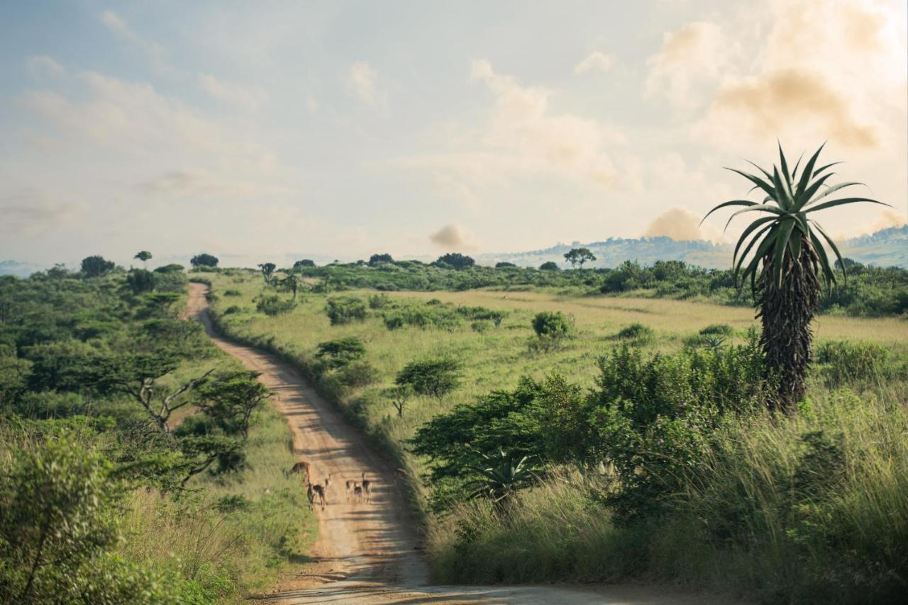 Tala Collection Game Reserve Silverton Экстерьер фото