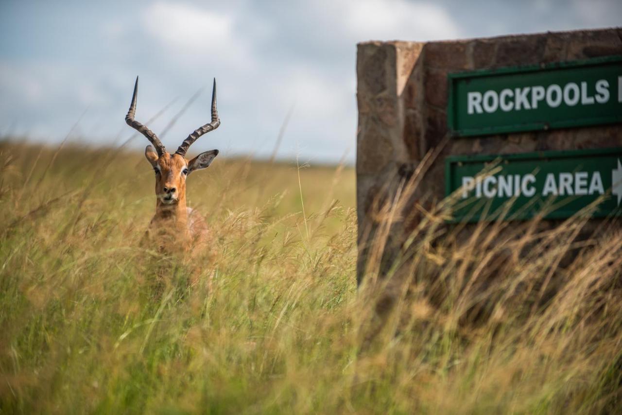 Tala Collection Game Reserve Silverton Экстерьер фото